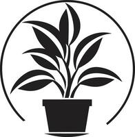 natuurlijk pottenbakkerij uitmuntendheid tuin logo strak oase icoon monochroom embleem symbool vector