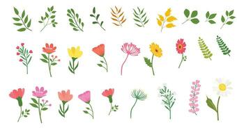voorjaar bloemen en bladeren vector set. bloemen verzameling. bloemen en planten klem kunst. vlak vector in tekenfilm stijl geïsoleerd Aan wit achtergrond.