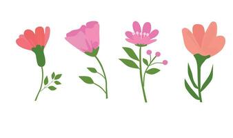 bloemen vector. voorjaar bloem. vlak bloem. bloem bloeien. vlak vector in tekenfilm stijl geïsoleerd Aan wit achtergrond,