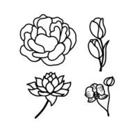 reeks van verschillend bloemen vector. illustratie van pioen, tulpen, lotus, orchidee lijn kunst Aan wit achtergrond. perfect voor stickers, affiches, instagram berichten, groet kaart of uitnodiging ontwerp vector