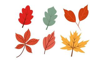 herfst bladeren logo vector beeld