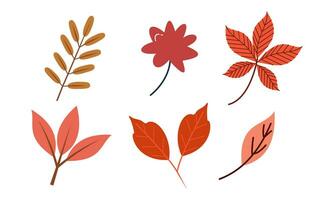 herfst bladeren logo vector beeld