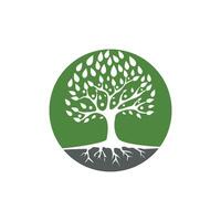 logo's van groene boom blad ecologie vector