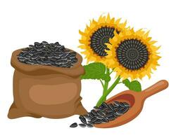 zonnebloem set. zonnebloem olie, zonnebloem plant, zaden in een canvas tas, houten lepel en schaal. landbouw, voedsel. vector