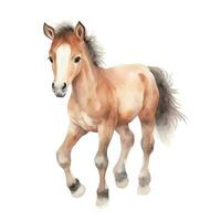 waterverf baby paard geïsoleerd Aan wit. vector illustratie met hand- getrokken schattig pony. klem kunst afbeelding.