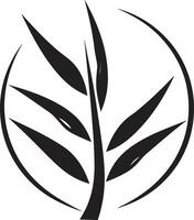 bamboe logo meesterschap in zwart botanisch uitmuntendheid met bamboe fabriek ontwerp natuurlijk symmetrie onthuld in zwart iconisch bamboe embleem vector