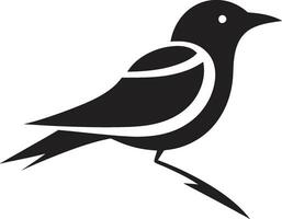 nacht uil logo ijsvogel vector icoon