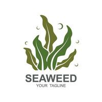 zeewier logo ontwerp, onderwater- fabriek illustratie, schoonheidsmiddelen en voedsel ingrediënten vector