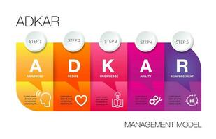 infographic sjabloon 5 stappen van adkar model- vector