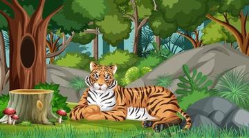 een tijger in een bos- of regenwoudscène met veel bomen vector