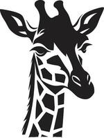 safari avontuur vastleggen giraffen in vector giraffe kalmte vector illustraties van Afrika