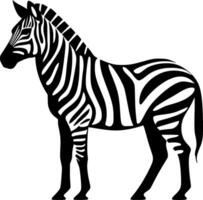 zebra, zwart en wit vector illustratie