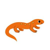 vector illustratie van schattig newt geïsoleerd Aan wit achtergrond.