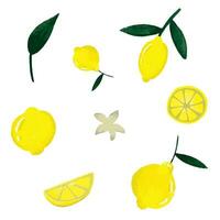 verzameling van citroenen voor klem kunst vector