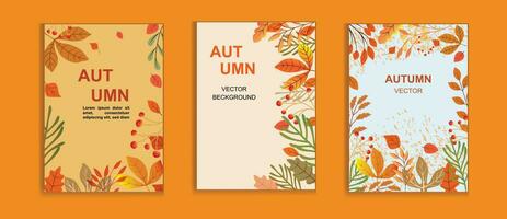 reeks van modieus minimaal herfst posters of covers met helder mooi bladeren en modern typografie, uitverkoop banier, en folder ontwerp. vector