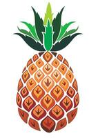 zomer fruit voor gezond levensstijl. ananas fruit. vector