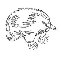 echidna of stekelmiereneter zijaanzicht doorlopende lijntekening vector