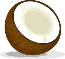 een kokosnoot, vector of kleur illustratie.