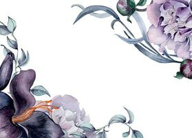 waterverf bord van Purper roze lelie bloemen geïsoleerd Aan wit. gotisch bloemen pioen gebladerte illustratie hand- getrokken. gotisch bruiloft decoratie in wijnoogst stijl. element voor uitnodiging, pakket vector
