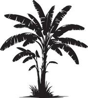 banaan boom vector silhouet illustratie zwart kleur 6