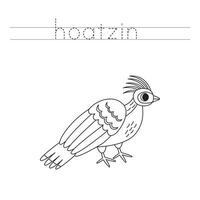 spoor de brieven en kleur tekenfilm hoatzin vogel. handschrift praktijk voor kinderen. vector