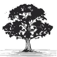 silhouet van groot boom in zomer Aan geïsoleerd wit achtergrond vector