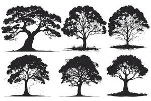 verzameling van groot boom silhouetten in zomer Aan geïsoleerd wit achtergrond vector