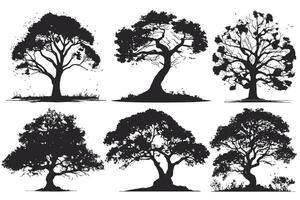 verzameling van groot boom silhouetten in zomer Aan geïsoleerd wit achtergrond vector