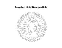 gericht lipide nanodeeltjes wetenschap ontwerp vector ontwerp illustratie