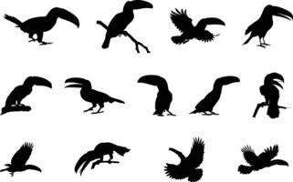 toekan silhouetten, toekan vogel silhouet, vliegend toekan silhouet, toekan toco clip art vector