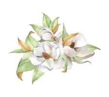 aquarel bloemen compositie. magnolia, een teder boeket. vector