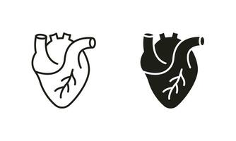 gezond cardiovasculair orgaan symbool verzameling Aan wit achtergrond. menselijk hart, hart- spier lijn en silhouet icoon set. medisch cardiologie pictogram. geïsoleerd vector illustratie.
