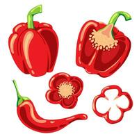 paprika en rood heet Chili peper Aan wit achtergrond. geïsoleerd vector illustratie