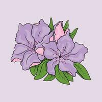 de illustratie van azalea's bloem vector