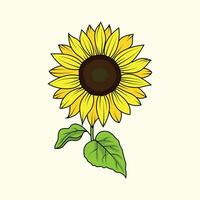 zon bloem de illustratie vector