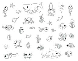 tekening reeks van marinier, oceaan tekens Aan een wit achtergrond. kinderen opleiding, kleur boek voor school- vector