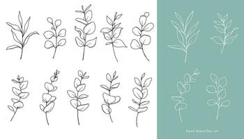 eucalyptus lijn kunst. bloemen kaders en boeketten lijn kunst. prima lijn eucalyptus kaders hand- getrokken illustratie. hand- trek schets bladeren en bloemen. botanisch kleur bladzijde. eucalyptus geïsoleerd vector