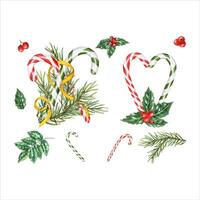 reeks van snoep wandelstokken, net Afdeling met goud lintje. karamel versierd met hulst en bessen. Kerstmis stok, Kerstmis suiker lolly. groenblijvend fabriek. waterverf illustratie voor winter decoratie. vector