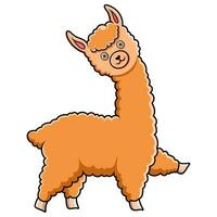 schattige alpaca cartoon op witte achtergrond vector