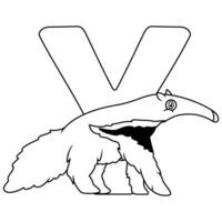 illustratie van y brief voor yurumi vector