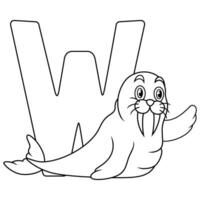 illustratie van w brief voor walrus vector
