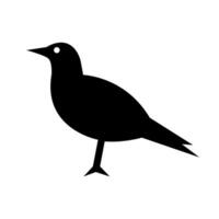 kraai silhouet icoon. raaf. zwart vogel. vector. vector