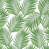 tropisch naadloos patroon met palm bladeren. tropisch blad behang. botanisch patroon vector illustratie.