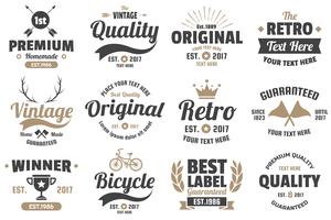 Vintage Retro Vector Labels voor banner