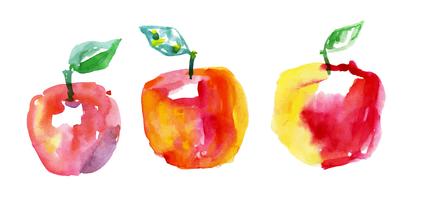 waterverftekening appels vector