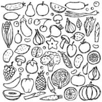 doodle vegetarisch eten set vector