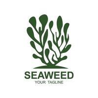 zeewier logo ontwerp, onderwater- fabriek illustratie, schoonheidsmiddelen en voedsel ingrediënten vector