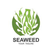 zeewier logo ontwerp, onderwater- fabriek illustratie, schoonheidsmiddelen en voedsel ingrediënten vector