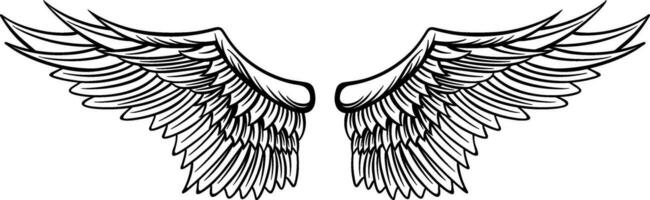 adelaar Vleugels vector ontwerp. illustratie