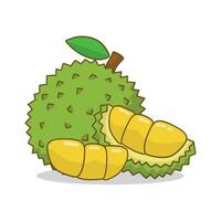 illustratie vector durian vlak ontwerp